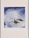 Sighild Gatz Farbradierung Bild 68 Orca 40x40